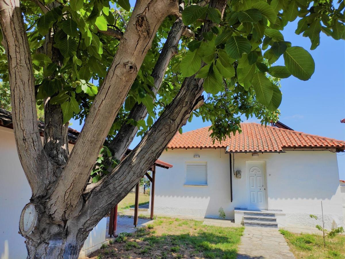 Villa White Clam Vintage House With Sea View & Garden Makrygialos Esterno foto